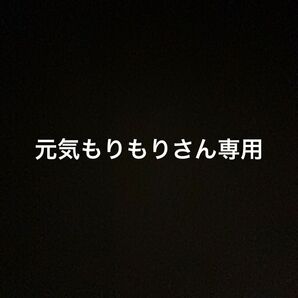 元気もりもりさん専用