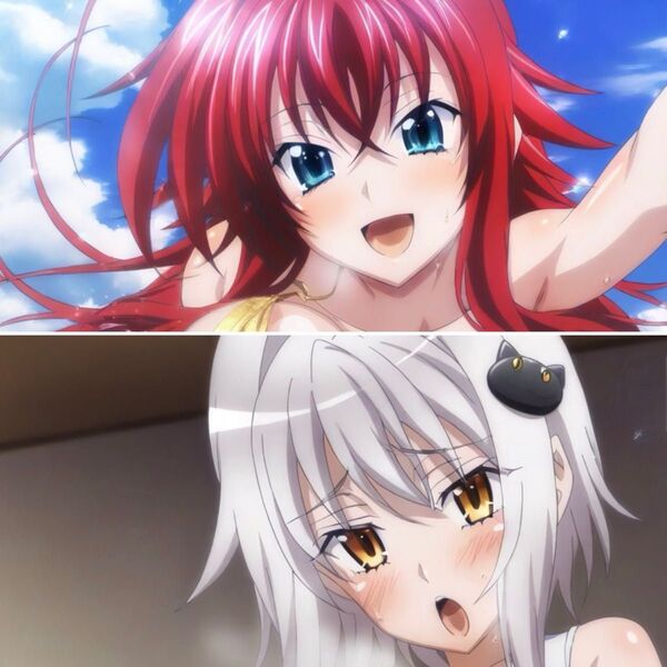 ハイスクールDxD リアス・グレモリー 塔城小猫まとめ売り ブロマイド 写真 L判 同人 アニメ
