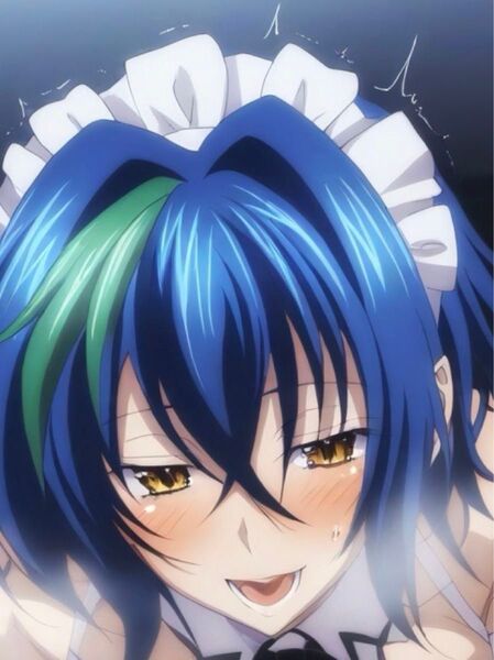 ハイスクールDxD ゼノヴィア ① ブロマイド 写真 L判 同人 アニメ