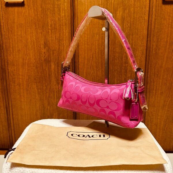 極美品 COACH コーチ アクセサリーポーチ ショルダーバッグ シグネチャー ハンドバッグ