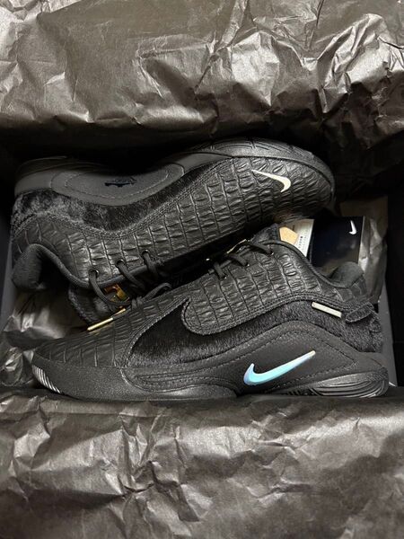 最安 超希少 ナイキ レブロン22 ブラックラベル EP Nike Lebron 22 black label 27cm