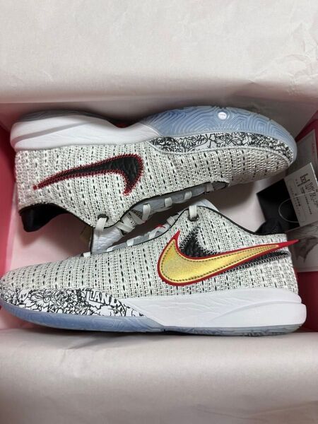 ナイキ レブロン20 Nike Lebron 20 EP 28.5cm