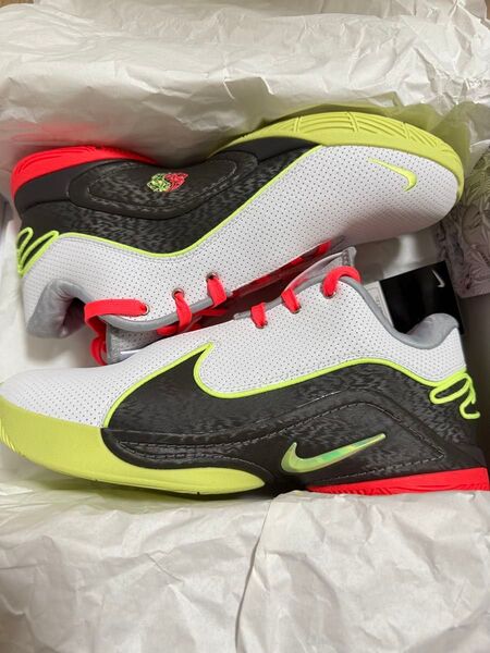 ナイキ レブロン22 Nike Lebron 22 EP 28.5cm