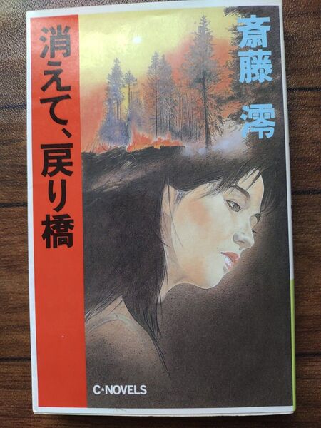 消えて、戻り橋 斎藤澪中央公論社 C-NOVELS