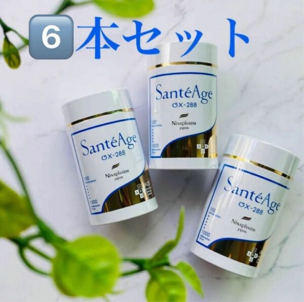 ニナファーム サンテアージュ6本セット