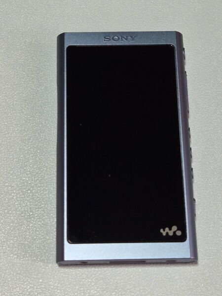 ソニー ウォークマン sony walkman 16GB NW-A55HN ムーンリットブルー