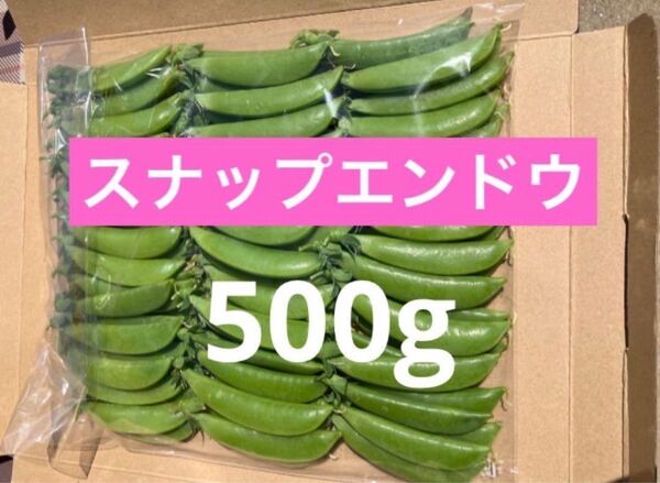スナップエンドウ 500g 野菜 農家直売