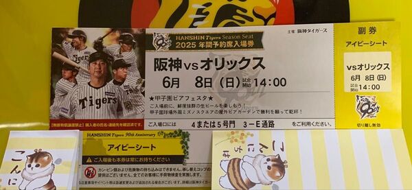 阪神タイガースvsオリックス 甲子園アイビーシート1枚 良席 甲子園球場チケット 良席