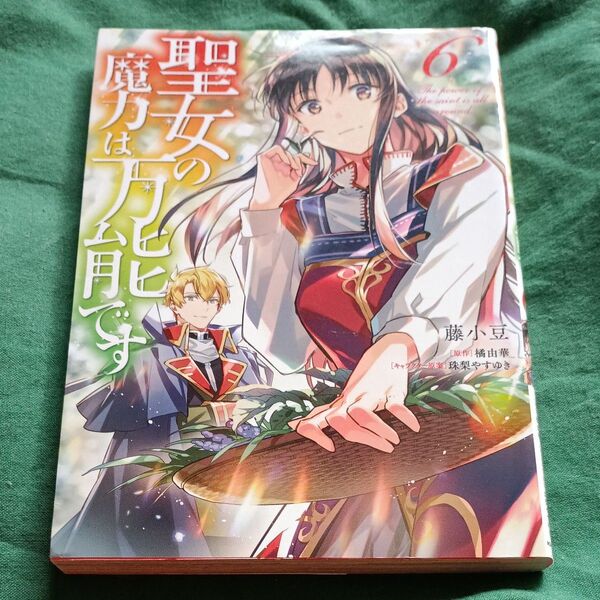 聖女の魔力は万能です 6 (フロースコミック) 藤小豆/著 橘由華/原作 珠梨やすゆき/キャラクター原案
