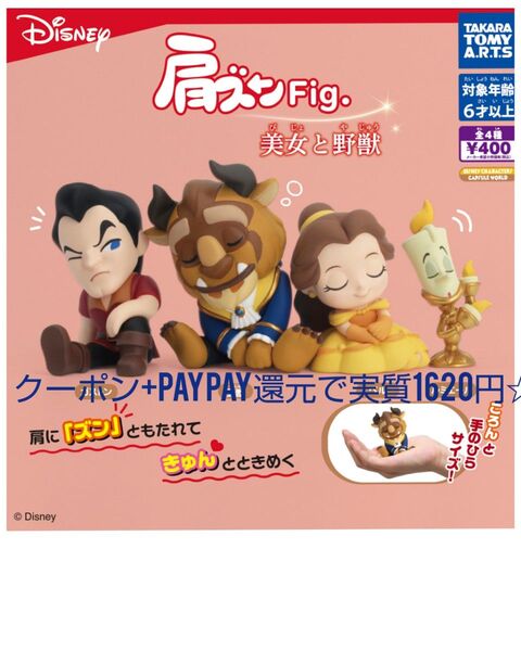 肩ズン 美女と野獣 コンプリートセット
