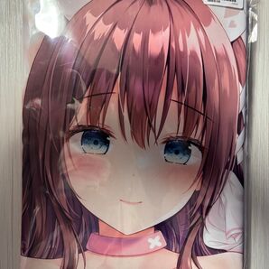 むらさきいろのよる むらさき* セラちゃん 抱き枕カバー アクアヴェール