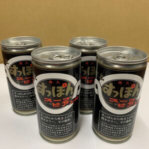 すっぽん肉入りスープ