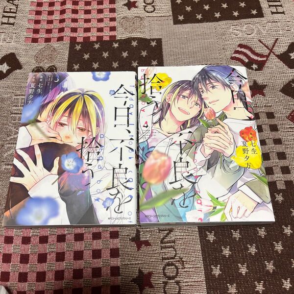 今日、不良を拾う 3、4 (MFCジーンピクシブシリーズ) 七生/漫画 夏野夕方/原作