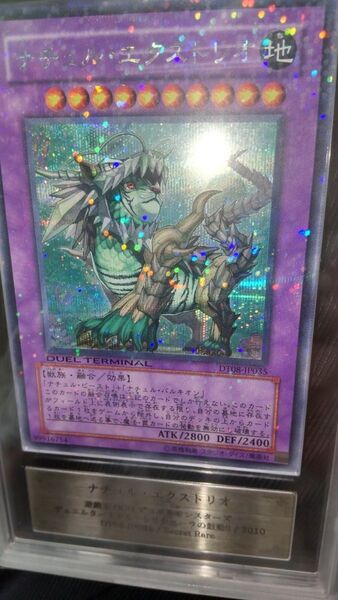 遊戯王 ナチュル・エクストリオ シークレット ars10 dt psa DT08