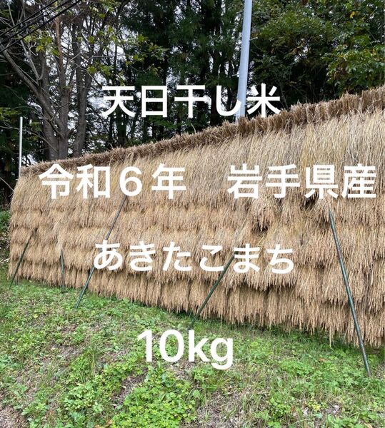 令和6年度産 あきたこまち 10kg 無選別 岩手県産