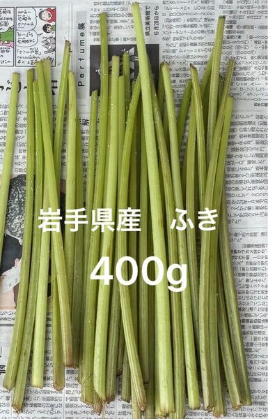 岩手県産 ふき チョウブキ 400g
