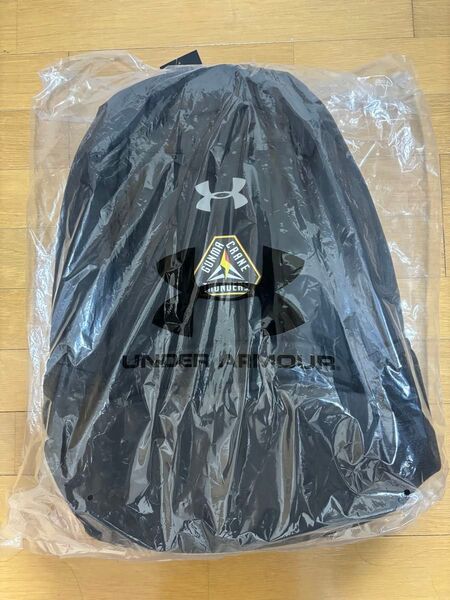 群馬クレイサンダーズ リュック