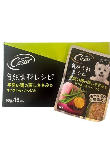 Cesar 自然素材レシピ セミモイストフード 60g×10個