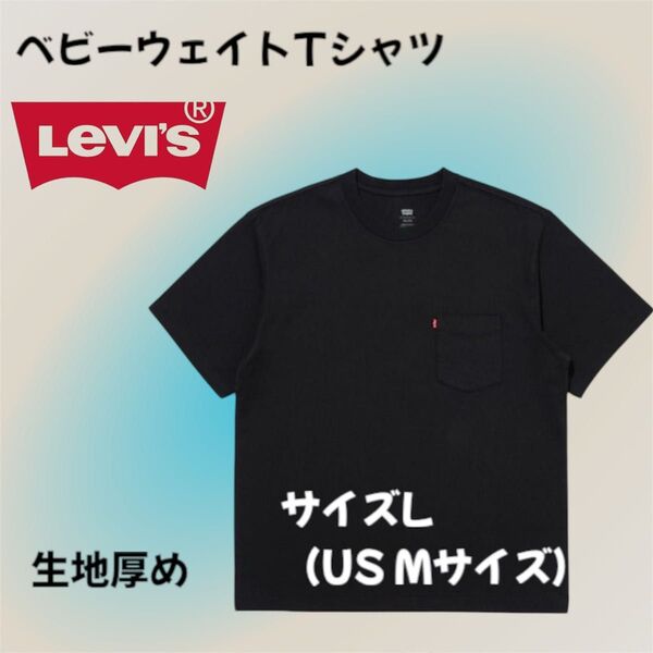 リーバイス ヘビーウェイト ポケット Tシャツ ブラック JAPAN Lサイズ(us Mサイズ)飽きない!ヘタレない!