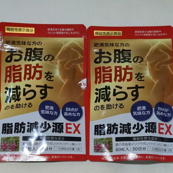脂肪減少源 EX 60粒入り(30日分)お腹の脂肪を減らす 2袋セット 新品未開封