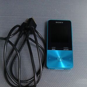 SONY ウォークマン NW-S313 動作確認済み オマケ付き