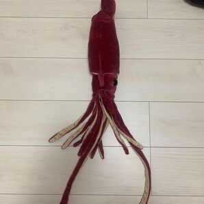 イカのぬいぐるみ