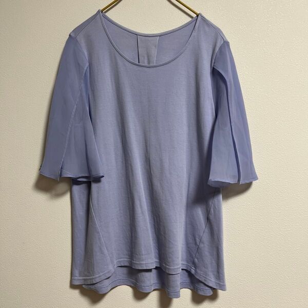 anywise エニワイズ ヤギ 袖シフォン 半袖Tシャツ カットソー トップス Mサイズ シンプル