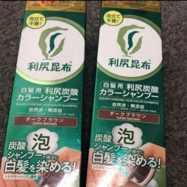 利尻炭酸カラーシャンプー ダークブラウン 2本