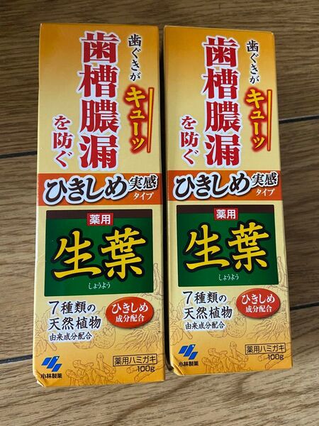 小林製薬 薬用生葉はひきしめ 2個