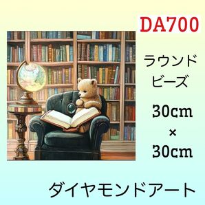 DA700ダイヤモンドアートキット熊博士
