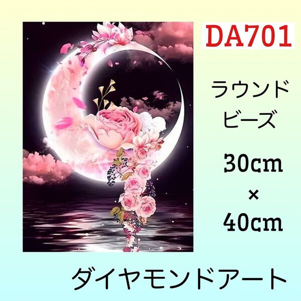 DA701ダイヤモンドアートキット大輪の花と月