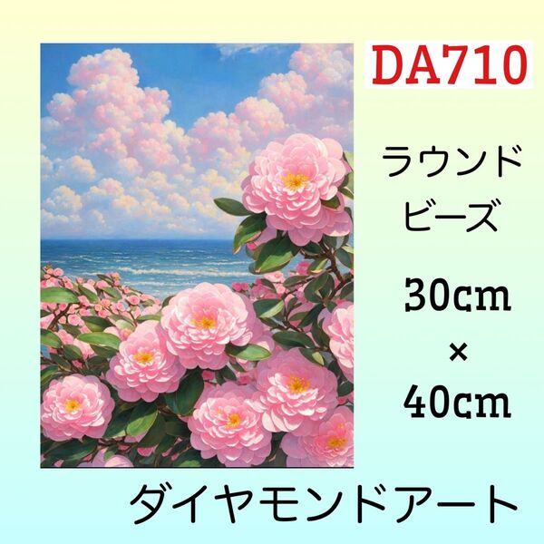 DA710ダイヤモンドアートキット海とピンクのお花