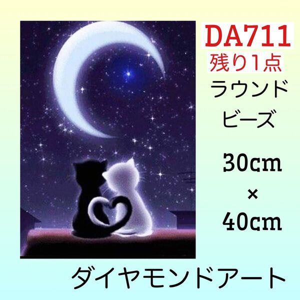 DA711ダイヤモンドアートキット三日月の夜のデート
