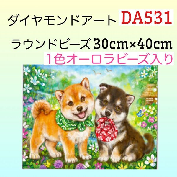 DA531☆ダイヤモンドアートキット☆仲良し柴ちゃん