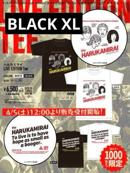ハルカミライ LIVE EDITION Tee 限定 Tシャツ BLACK XL