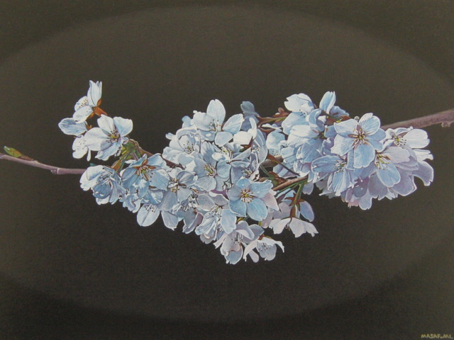 Masashi Ikeda, 【Flores de cerezo】, Libro de arte raro para enmarcar., Nuevo marco de alta calidad incluido., En buena condición, envío gratis, Cuadro, Pintura al óleo, Naturaleza, Pintura de paisaje