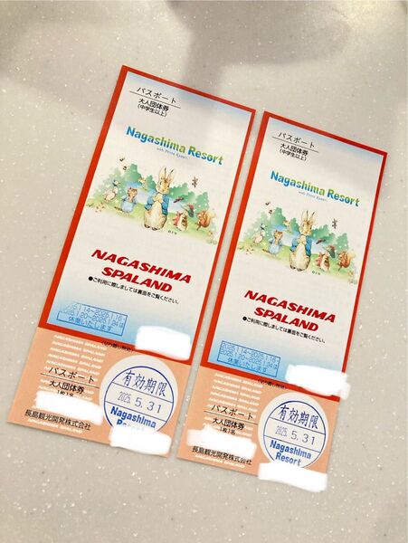 ナガシマスパーランド パスポート入場券 乗り放題 ナガスパ チケット 2枚 大人 中学生以上