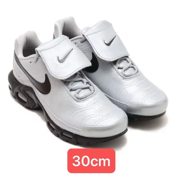 NIKE AIR MAX PLUS TIEMPO WOLF GREY ナイキ エア マックス プラス ティエンポ TNPO グレー