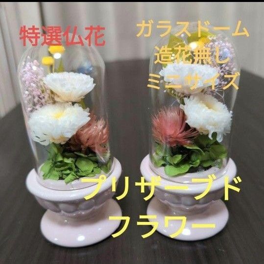 特選仏花 ガラスドーム ミニサイズ造花無し 一対 箱付き プリザーブドフラワー
