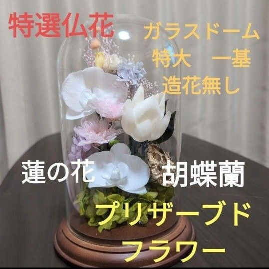 特選仏花 蓮の花 (清らかな心) ガラスドーム特大 プリザーブドフラワー造花無し