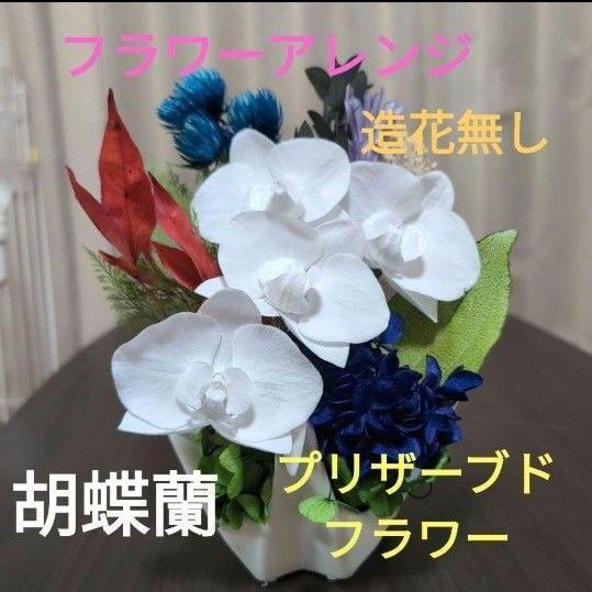 フラワーアレンジ 花瓶付き 胡蝶蘭 造花無し プリザーブドフラワー