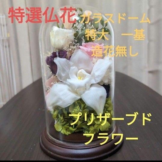 特選仏花 天然木土台 ガラスドーム 特大 造花無し プリザーブドフラワー