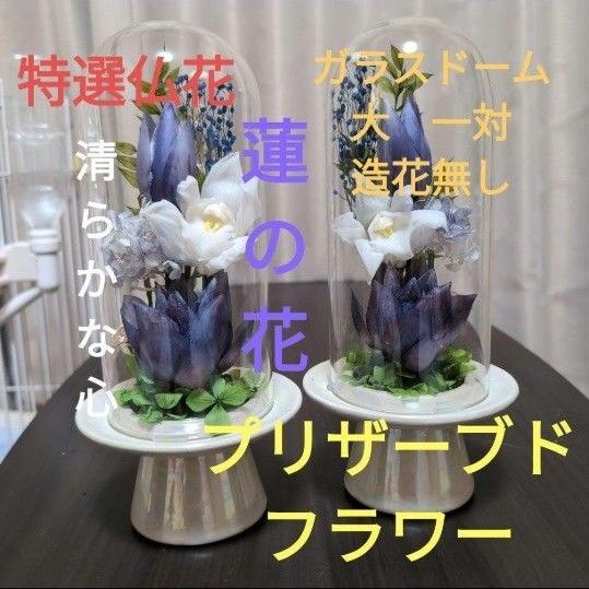 特選仏花 ガラスドーム 大 一対 蓮の花 造花無し プリザーブドフラワー