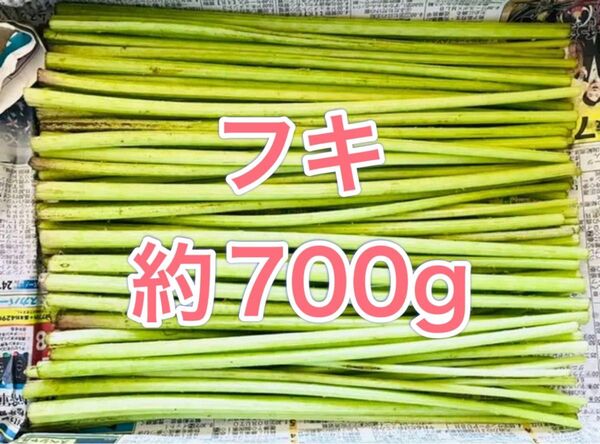 東京都産 農薬不使用フキ 蕗 手摘み カット済み山菜 ネコポス 700g程度