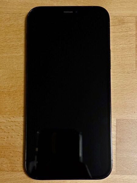 iPhone 12 Pro 256GB パシフィックブルー SIMフリー (おまけ付き)