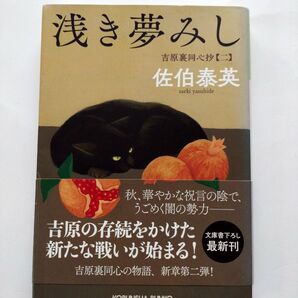浅き夢みし 吉原裏同心抄【二】 佐伯泰英 光文社文庫