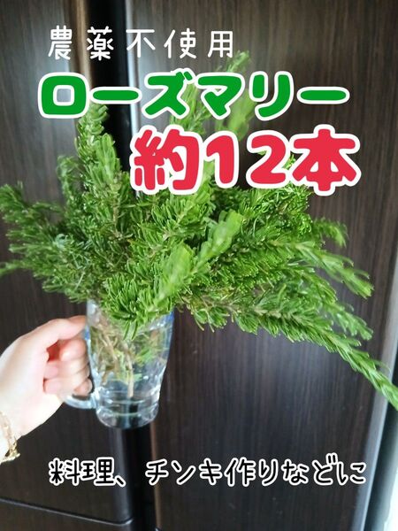 農薬不使用 ローズマリー たっぷり約12本