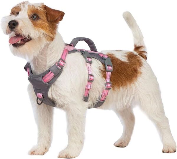 ハーネス 小型犬 犬用ハーネス 引っ張り防止 抜けない サイズ調整可能 夜間反射 咳き込み防止 歩行補助 訓練 散歩 ピンク,S