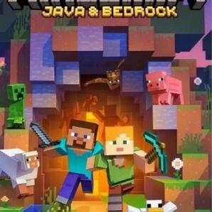 Minecraft Java & Bedrock Edition (PC) コード