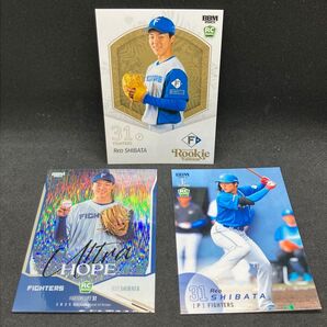BBM 1st 2025 柴田獅子 RCカード 3枚セット 日本ハムファイターズ